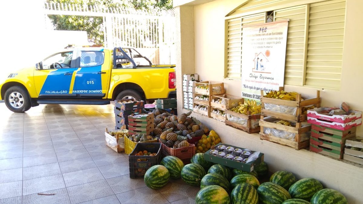 Mercadoria apreendida na DF-051 é doada a abrigos