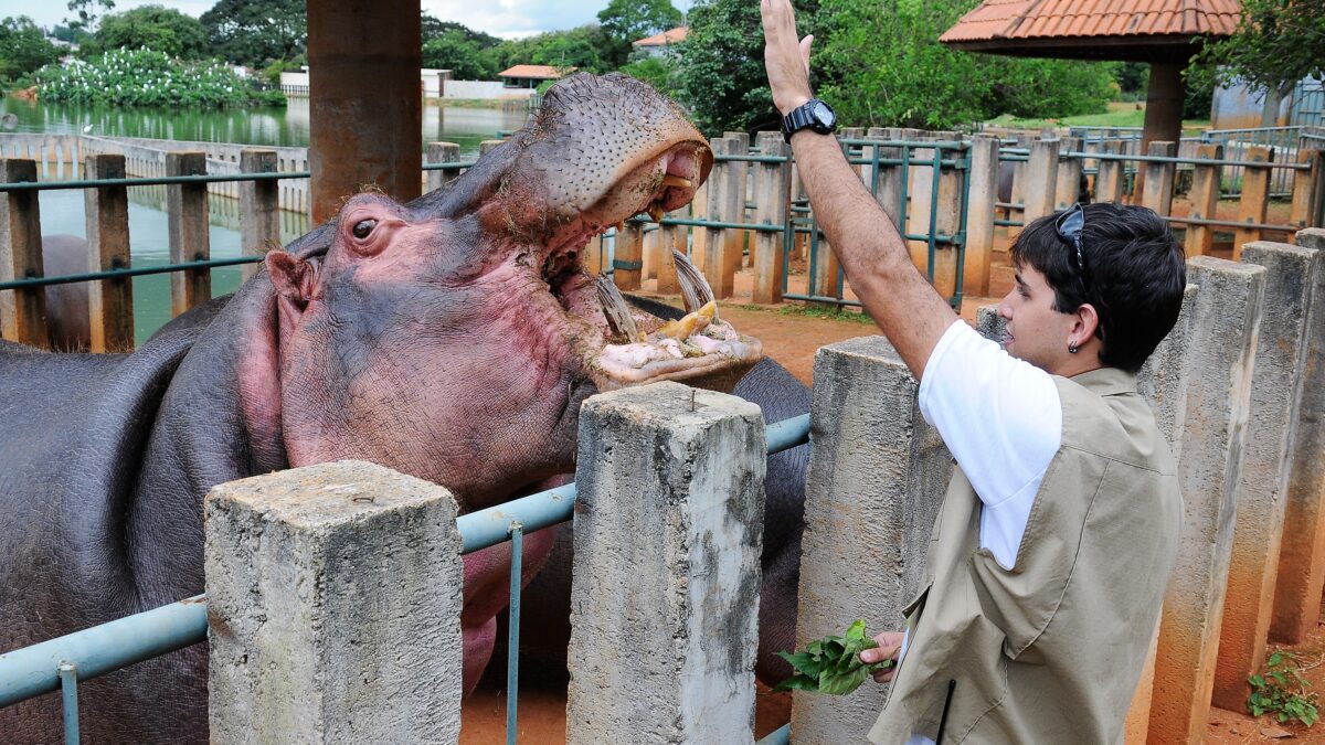 Zoológico de Brasília reabre para visitação