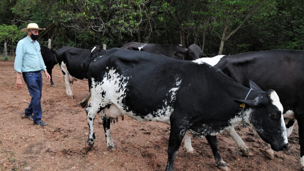 Escritura para produtores do DF