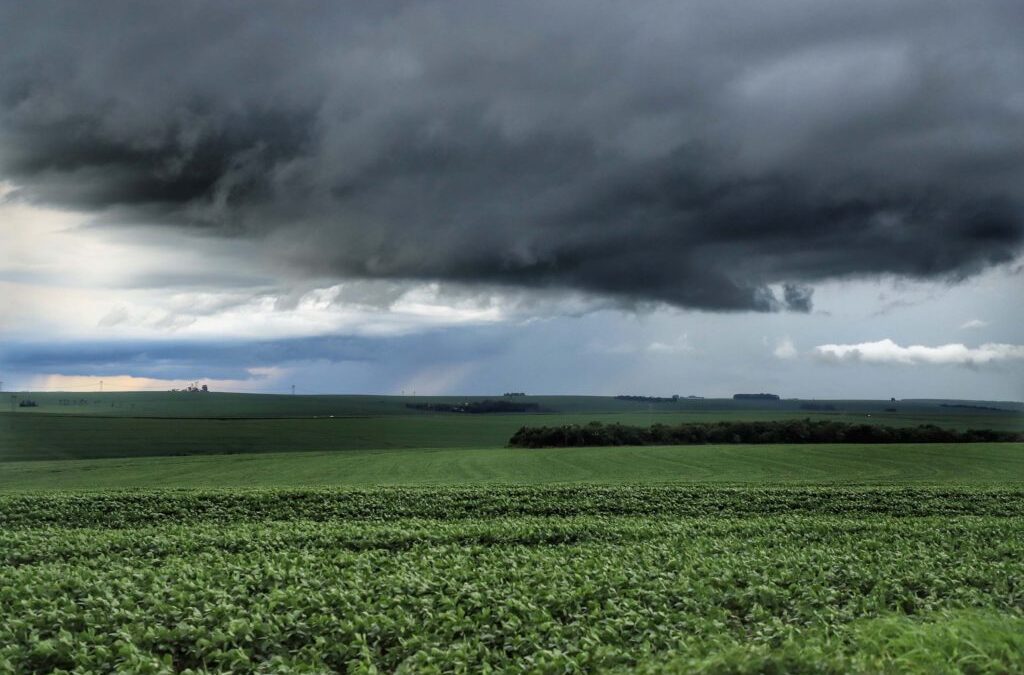 Excesso de chuva impacta diretamente na agricultura