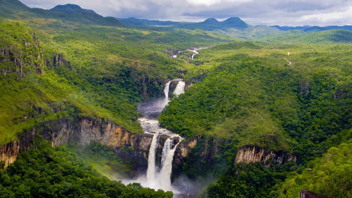 Coleção sobre a Chapada é destaque no Jardim Botânico