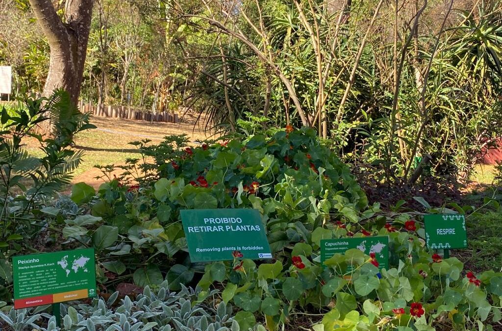 Plantas do Jardim Botânico ganham novas placas de identificação