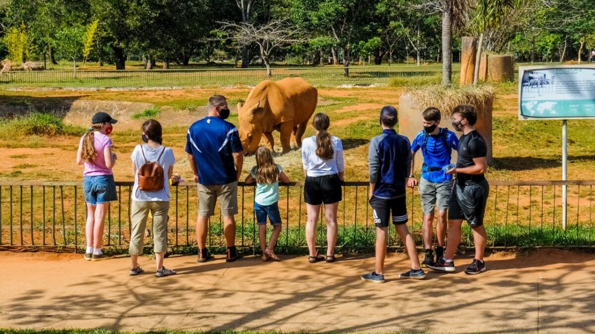 Zoológico de Brasília retoma projetos educacionais