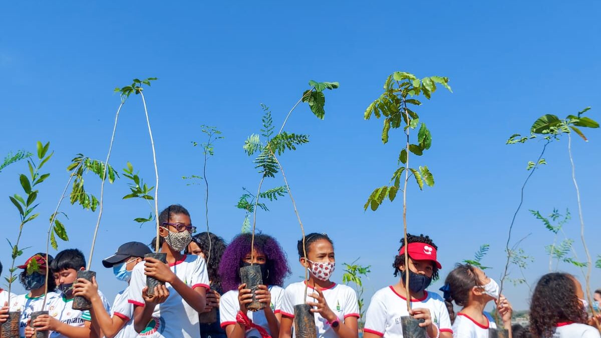 Alunos da rede pública plantam mudas do cerrado na orla do Lago Paranoá