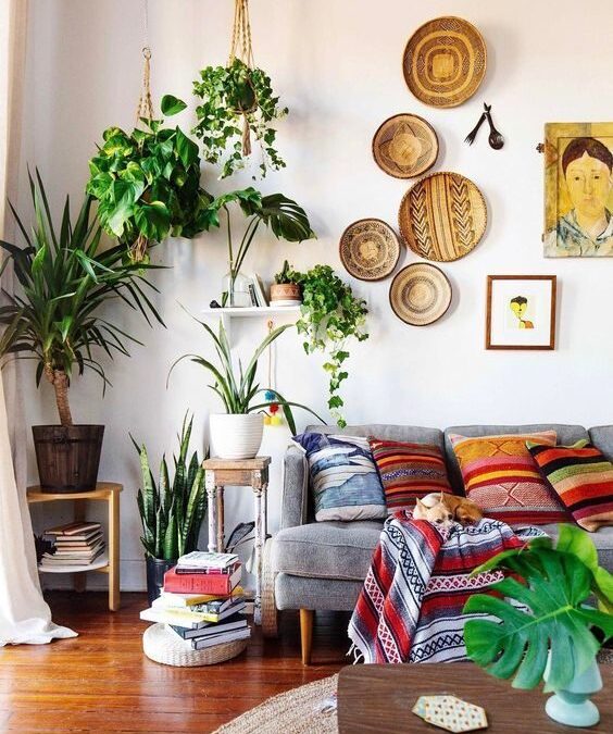 5 plantas baratinhas para adotar na sua decoração