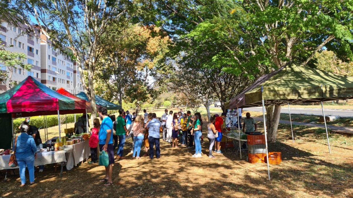 Sábado é dia de artesanato e cultura no Sudoeste