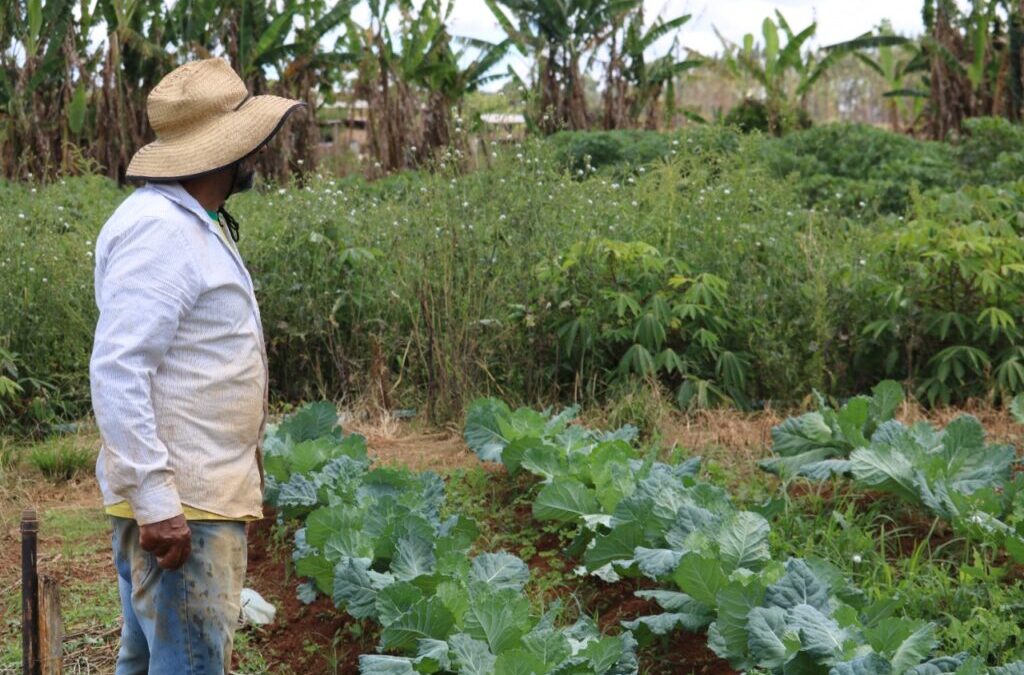 Prospera libera R$ 1,8 milhão para pequenos produtores