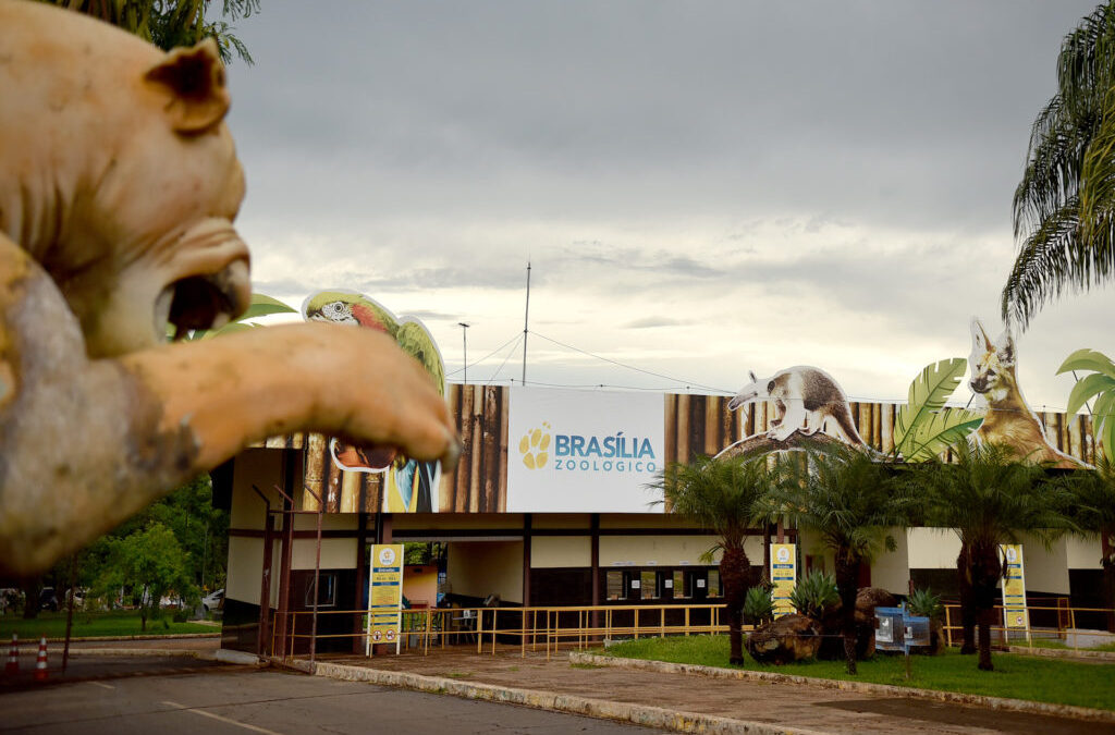 Confira o que abre e o que fecha durante o feriadão de Carnaval