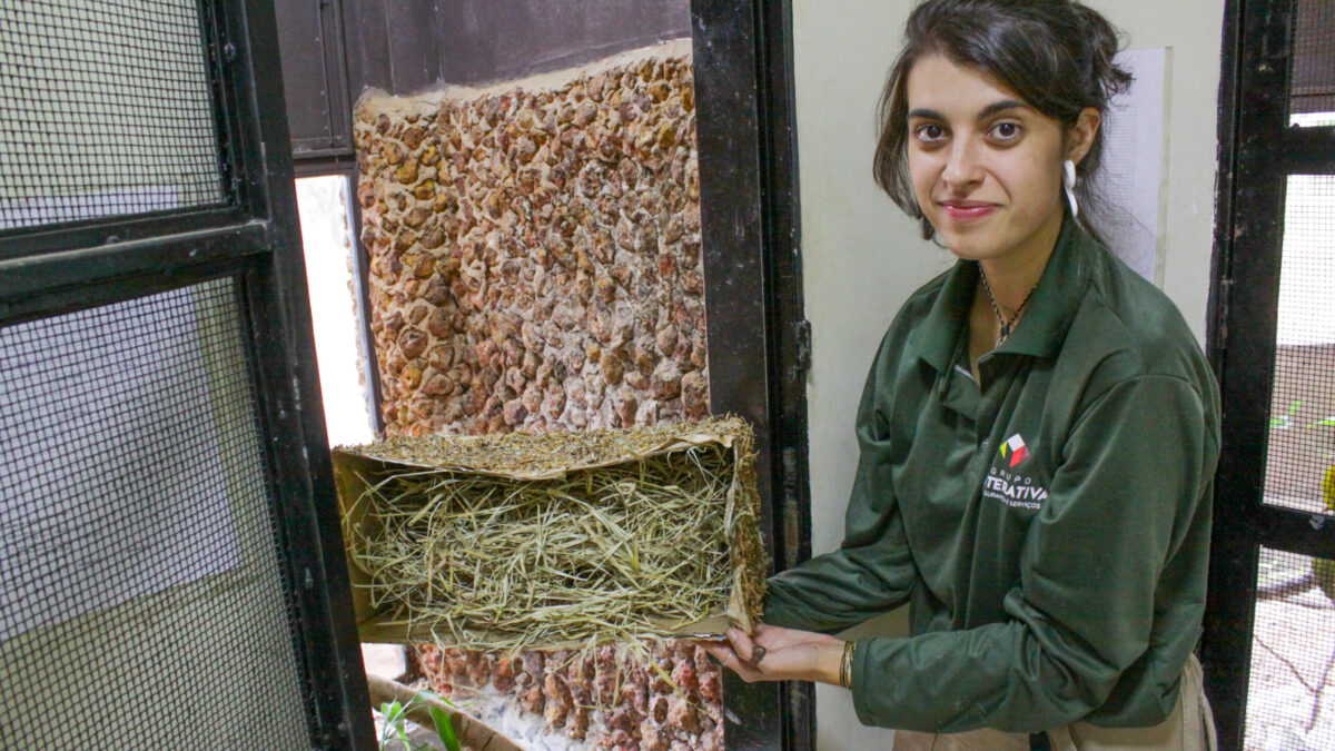 Zoológico preparado para enfrentar o frio