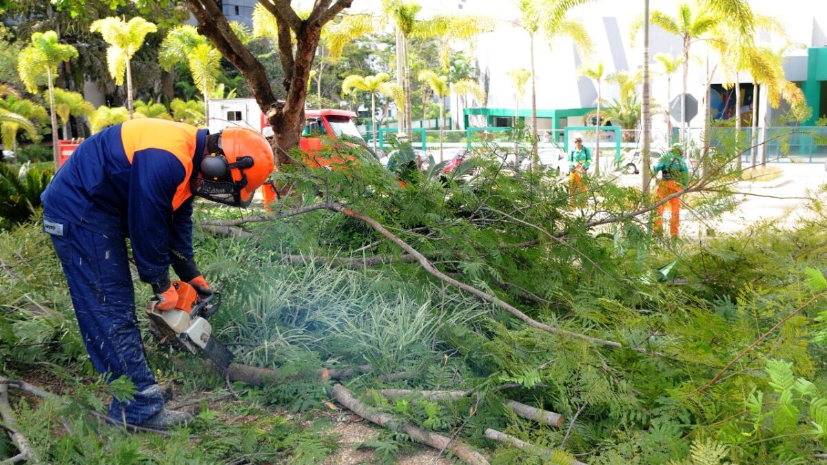 Saiba como requisitar serviços para cuidar do DF