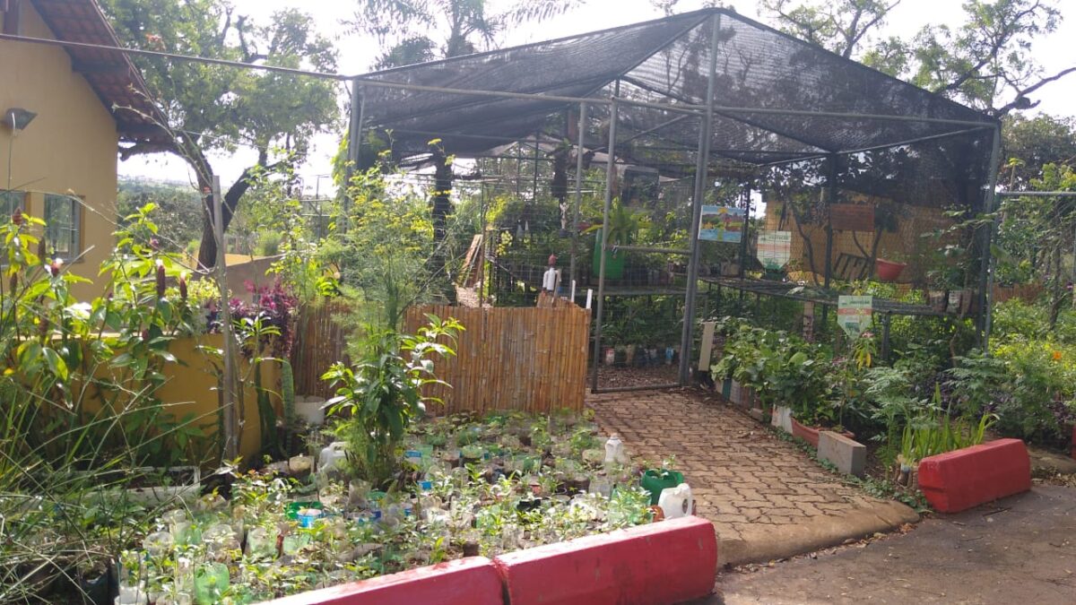 Parque Ecológico Riacho Fundo tem nascentes e plantas nativas do cerrado