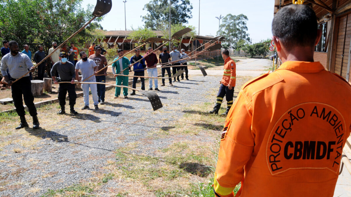 Curso de combate a incêndio florestal é realizado no Jardim Botânico