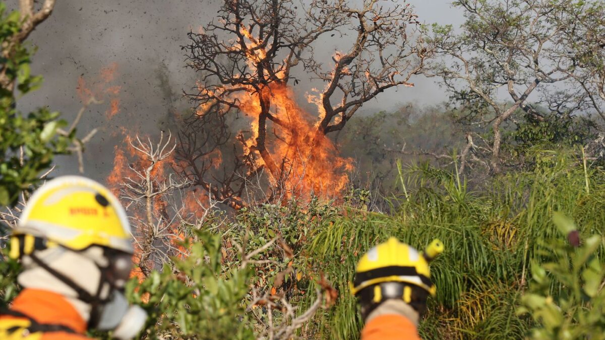 Incêndio atinge Parque Nacional de Brasília e ICMBio aciona brigada própria