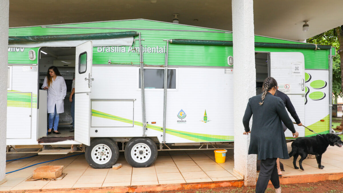 Hospital Veterinário móvel já realizou 1,5 mil consultas neste ano