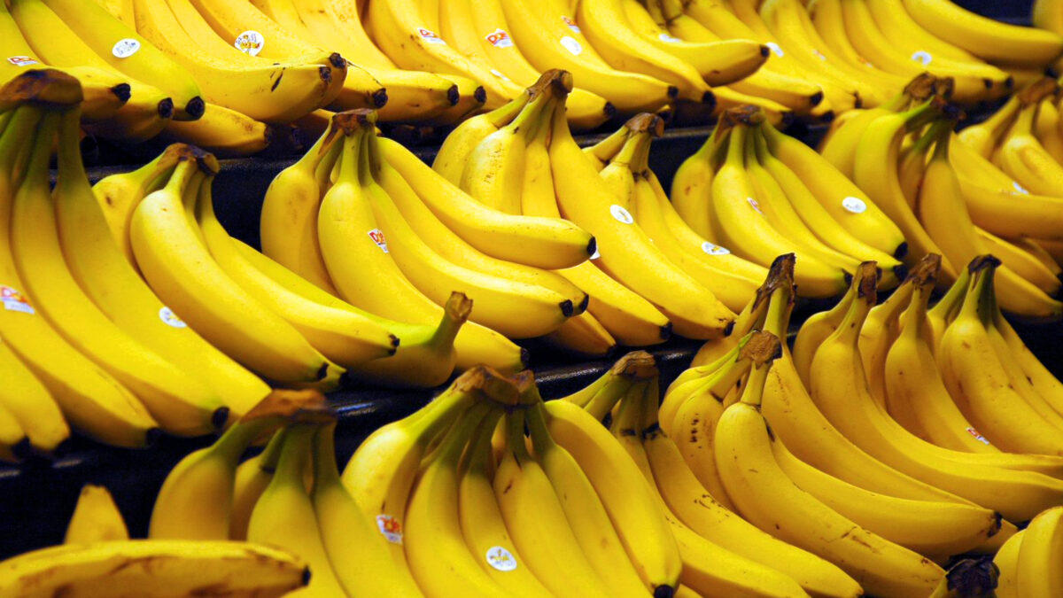 Yes, o DF produz muita banana! Foram mais de 5 mil toneladas este ano