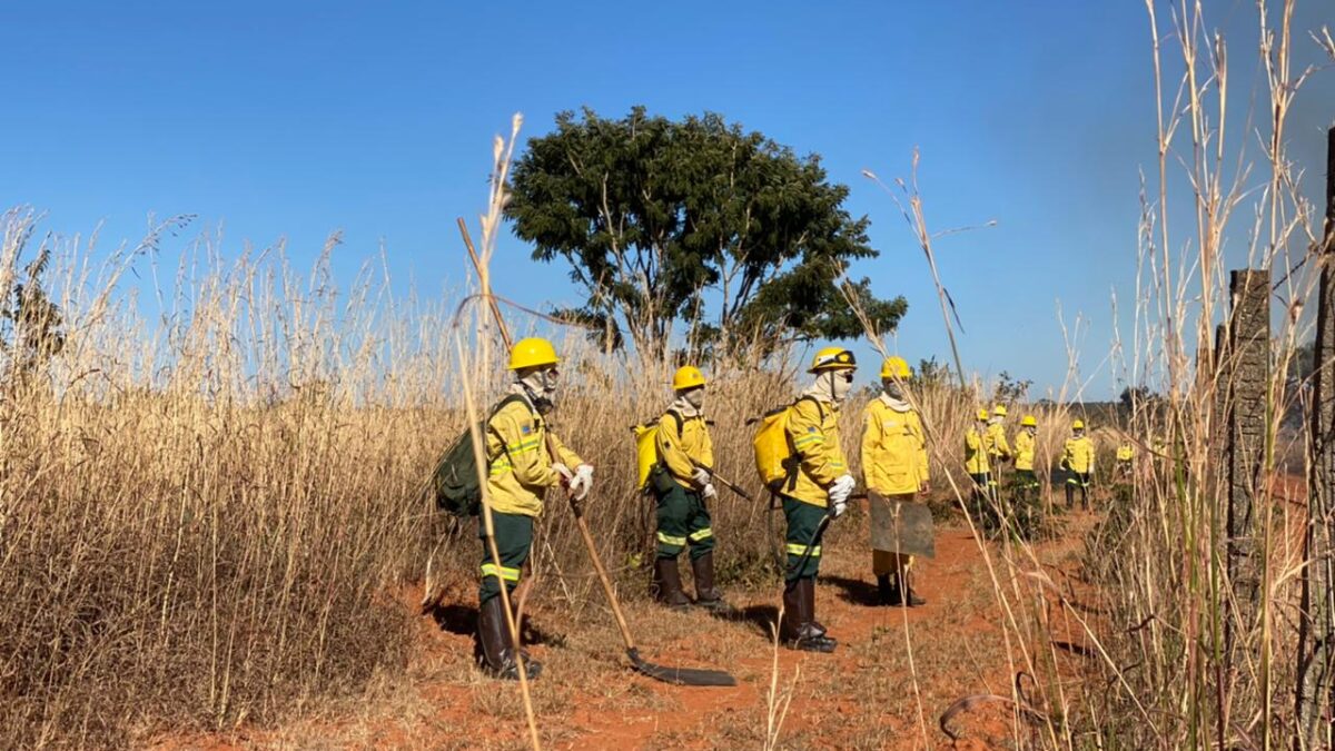 Divulgada lista de pré-selecionados para curso de brigadista florestal