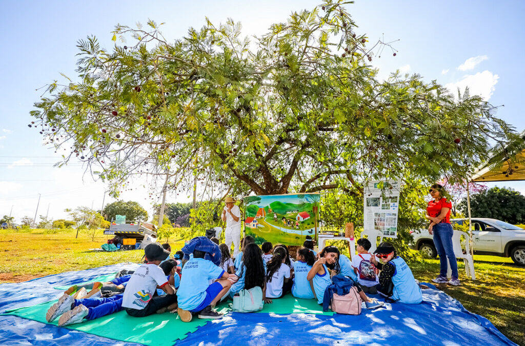 Orla do Lago Paranoá é palco de aula de educação ambiental