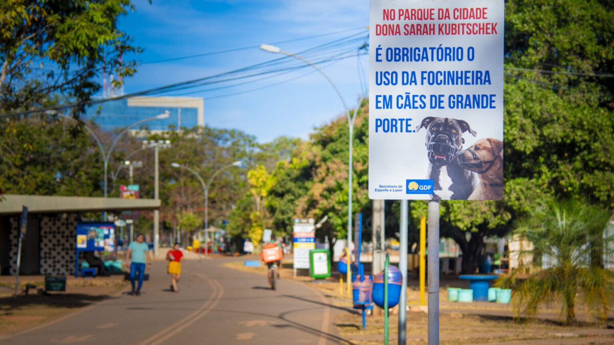 Pet no Parque da Cidade, agora, só com coleira