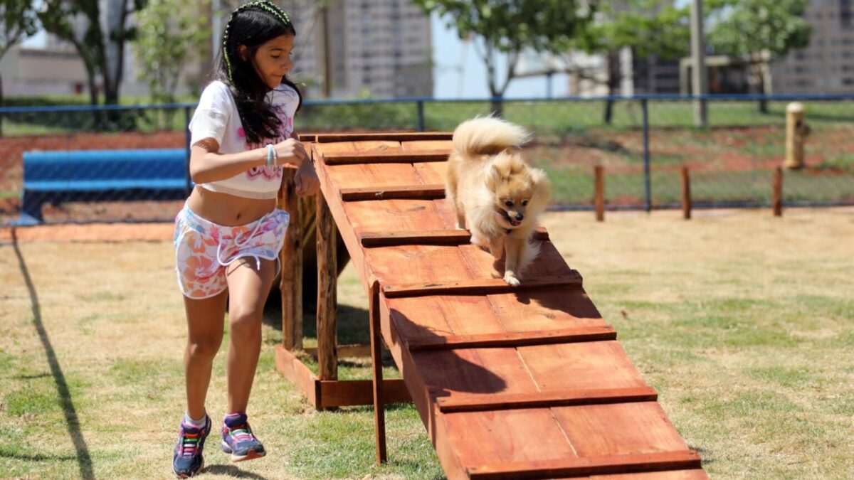 Primeiro ParCão de Samambaia leva lazer aos pets que vivem na região