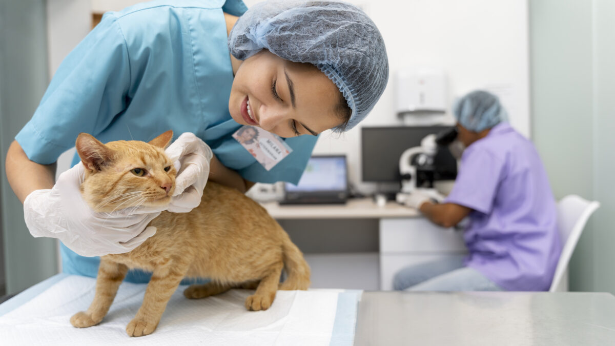 CEUB inaugura Clínica-Escola de Medicina Veterinária