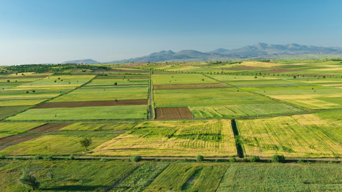 STJ estabelece responsabilidade ambiental para compradores de imóveis rurais em áreas degradadas