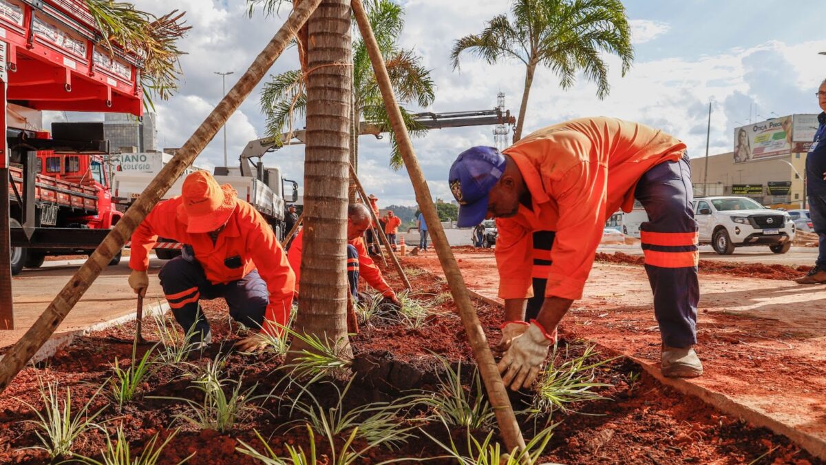 Sol Nascente/Pôr do Sol recebe projeto de arborização com mudas do Cerrado