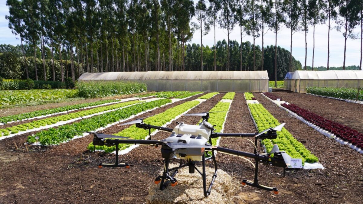 Evento vai orientar sobre agroindustrialização para aumentar renda do produtor rural