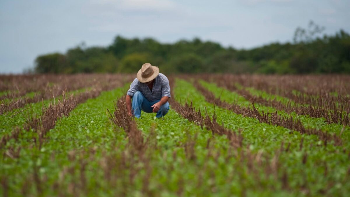 Produtor Rural com Dívidas de R$126 Milhões Consegue a Recuperação Judicial na Justiça