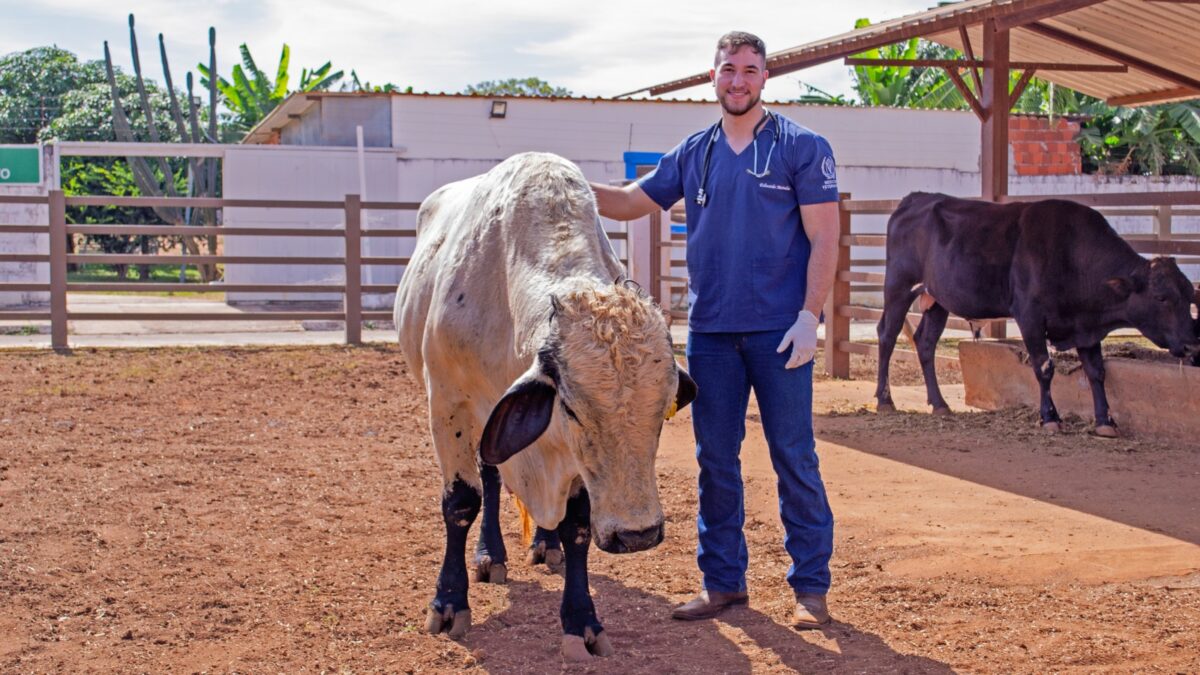 Curso de Medicina Veterinária do UNICEPLAC promove evento gratuito para produtores rurais