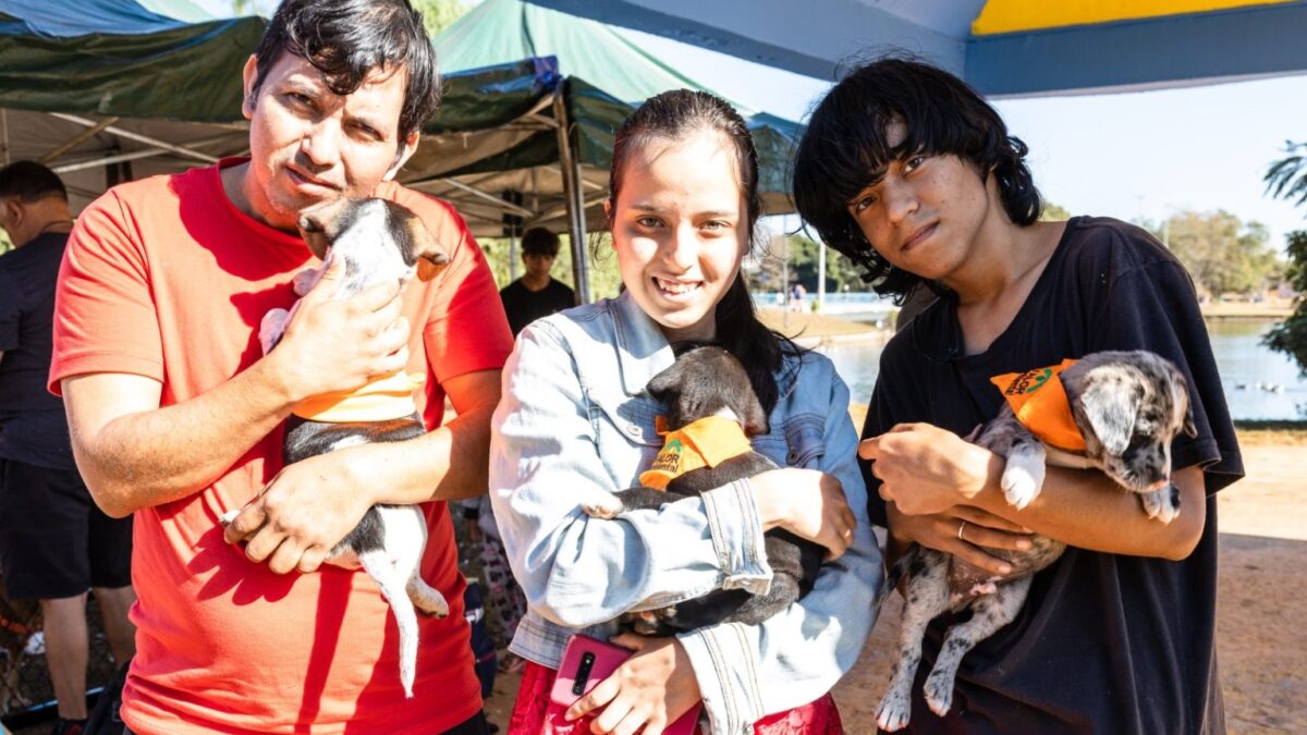 Feira de Adoção do Projeto Cata-Pata é um sucesso