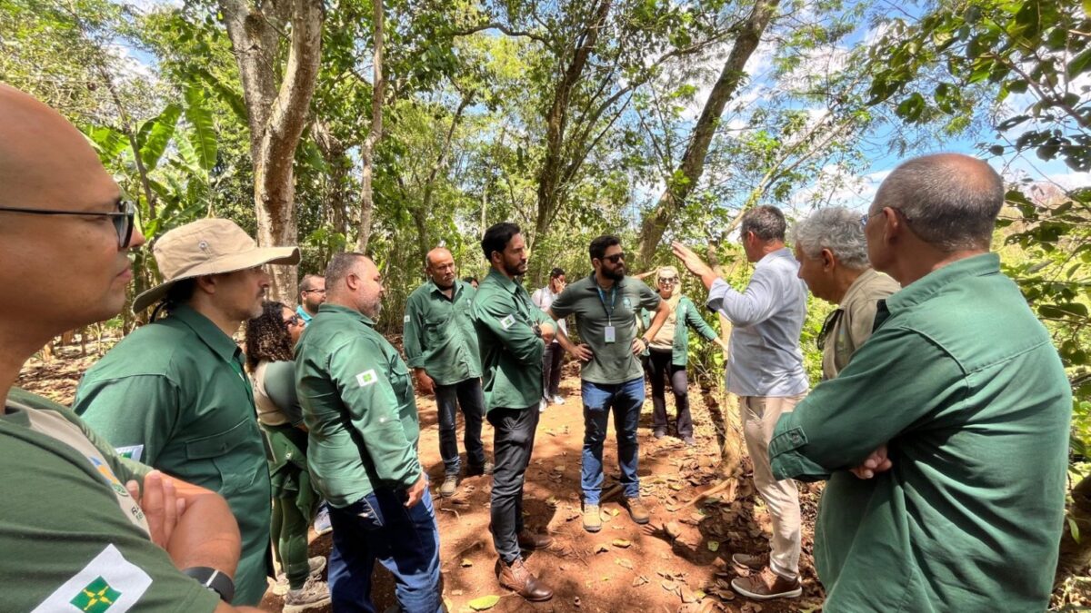 Servidores do Brasília Ambiental conhecem atributos ecológicos do Sítio Geranium em visita guiada