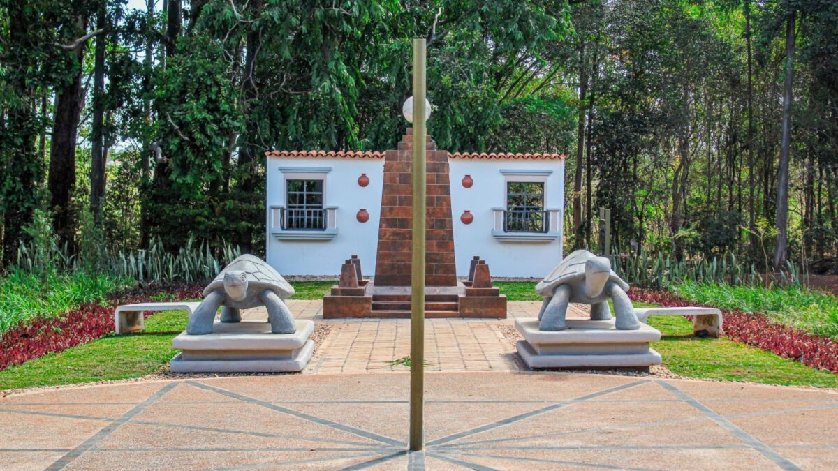 Jardim Botânico de Brasília: Um ano de conquistas e avanços na preservação do Cerrado