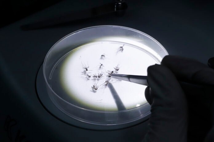 54735087247_77ad300de3_k