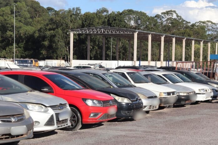 Francisco_Eduardo_Carvalho (AscomDetranDF)3