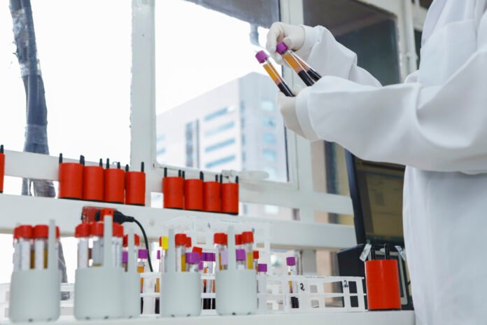 55138467751_d42b640600_o