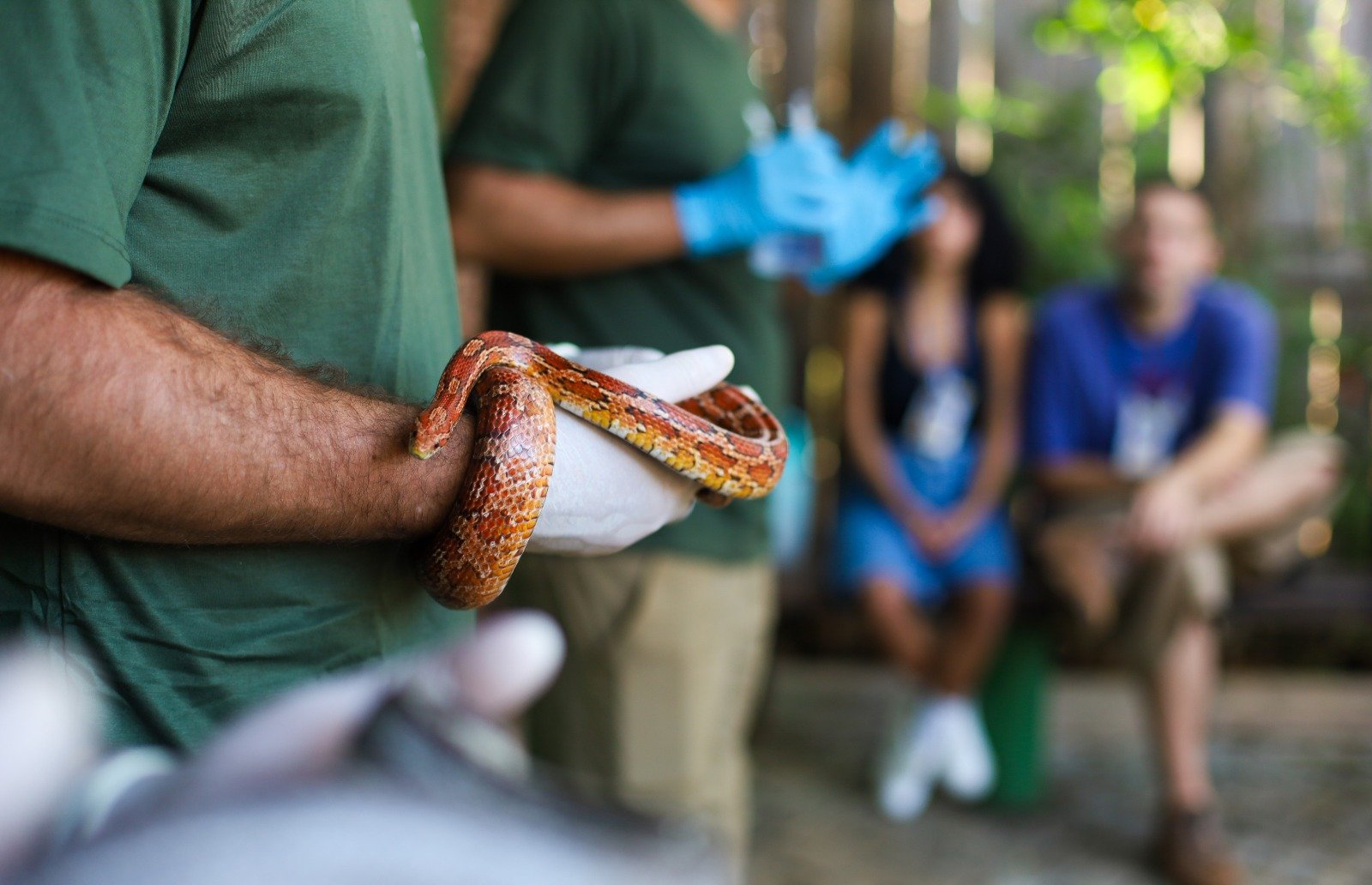 Zoológico de Brasília abre seleção para voluntários sociais e profissionais